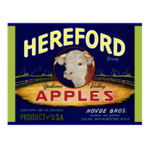 Hereford Washington Apples Post Cards