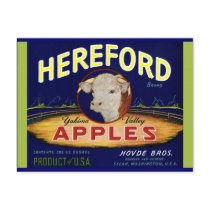 Hereford Washington Apples postcards by FRUITLOOPY Hereford Washington Apples postcards