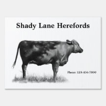 Herefords: Cattle: Farm Sign: Pencil Drawing: Beef