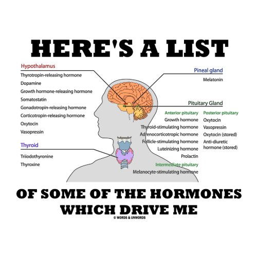 Here's A List Of Some Of The Hormones (Endocrine) button