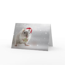 Here's a little Christmas gift for you xxx Greeting Card