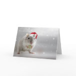 Here's a little Christmas gift for you xxx cards