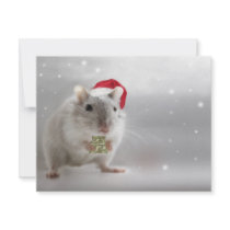 Here's a little Christmas gift for you xxx Announcements