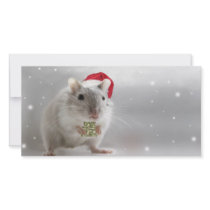 Here's a little Christmas gift for you xxx photo cards by Squealia Here's a little Christmas gift for you xxx photo cards