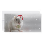 Here's a little Christmas gift for you xxx photo cards