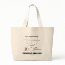 Here's A Schematic Of How I Operate (Catabolism) Bags