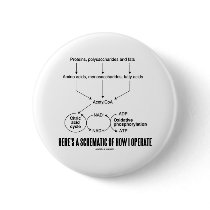 Here's A Schematic Of How I Operate (Catabolism) Button