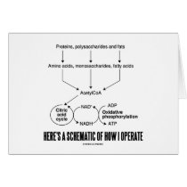 Here's A Schematic Of How I Operate (Catabolism) Card