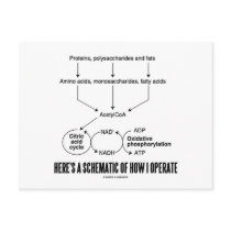 Here's A Schematic Of How I Operate (Catabolism) Post Cards