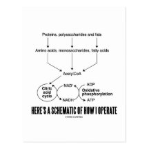 Here's A Schematic Of How I Operate (Catabolism) Postcard