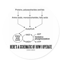 Here's A Schematic Of How I Operate (Catabolism) Round Stickers