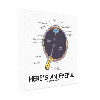 Here's An Eyeful (Eye Anatomy Humor) Stretched Canvas Prints