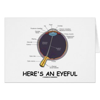 Here's An Eyeful (Eye Anatomy Humor) Greeting Cards
