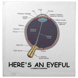 Here's An Eyeful (Eye Anatomy Humor) Cloth Napkins