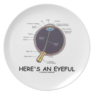 Here's An Eyeful (Eye Anatomy Humor) Dinner Plate