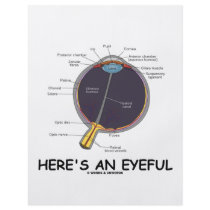 Here's An Eyeful (Eye Anatomy Humor) flyers by wordsunwords Here's An Eyeful (Eye Anatomy Humor) flyers
