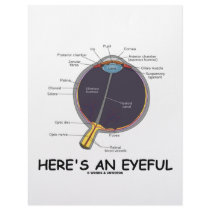 Here's An Eyeful (Eye Anatomy Humor) Letterhead