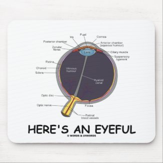 Here's An Eyeful (Eye Anatomy Humor) Mousepads