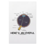 Here's An Eyeful (Eye Anatomy Humor) Stationery Paper