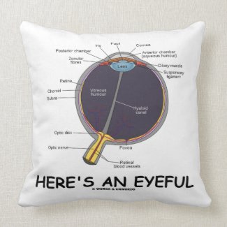 Here's An Eyeful (Eye Anatomy Humor) Throw Pillows
