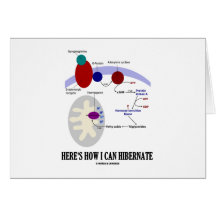 Here's How I Can Hibernate (Thermogenesis) Card
