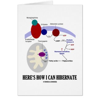 Here's How I Can Hibernate (Thermogenesis) Greeting Card