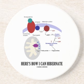Here's How I Can Hibernate (Thermogenesis) Drink Coaster