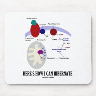 Here's How I Can Hibernate (Thermogenesis) Mouse Pad