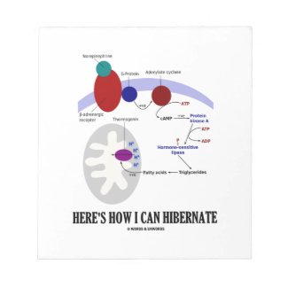 Here's How I Can Hibernate (Thermogenesis) Memo Note Pads
