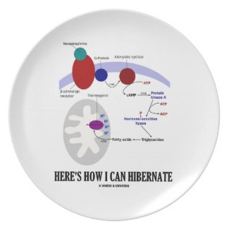 Here's How I Can Hibernate (Thermogenesis) Plates