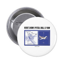 Here's How I Pitch, Roll & Yaw (Inner Ear Anatomy) Pins