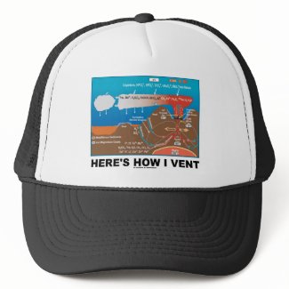 Here's How I Vent (Deep Sea Vent Chemistry) hat
