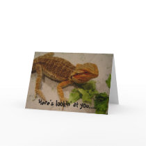 Here's lookin' at you... birthday greetings cards by seashell2 Here's lookin' at you... birthday greetings cards