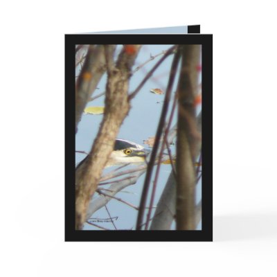 Here's Lookin at You Greeting Card by MoiraAshleigh