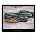 Here's looking at ya! posters by SpyderbyteGraphX Here's looking at ya! posters