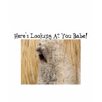Here's Looking at You Babe! t-shirts