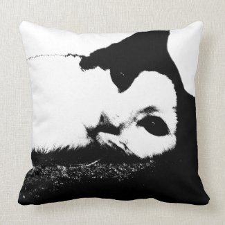 Here's Looking At You Cat American MoJo Pillows