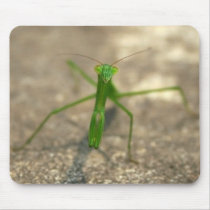 Here's Looking At You (Front) Mousepad mousepads