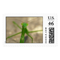 Here's Looking At You (Front) Postage Stamp