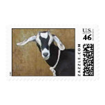Heres looking at you kid stamps