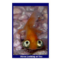 Heres Looking at You posters by alltalk Heres Looking at You posters