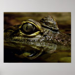 Here's Looking at You posters