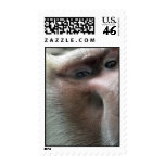 Here's Looking At You Stamp