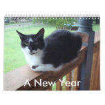 Here's To Cat's Wall Calendars