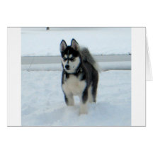 Here's Trouble Greeting Cards