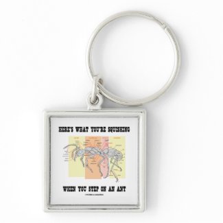 Here's What You're Squishing When You Step On Ant keychain