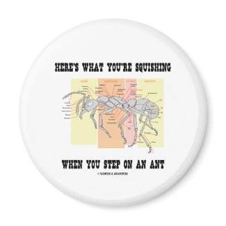 Here's What You're Squishing When You Step On Ant magnet