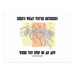 Here's What You're Squishing When You Step On Ant Post Cards