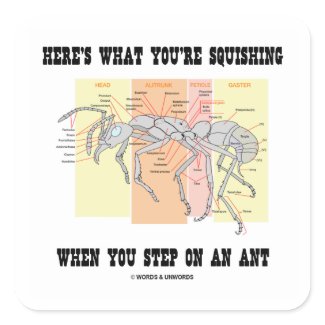 Here's What You're Squishing When You Step On Ant sticker