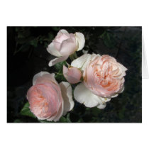 Heritage cards by Hauki Heritage cards